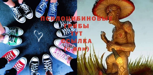 прущие грибы Покачи