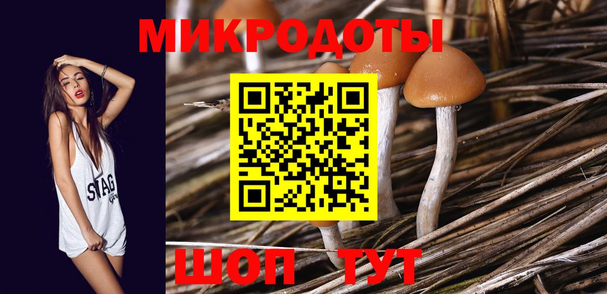 Псилоцибиновые грибы Cubensis Асбест