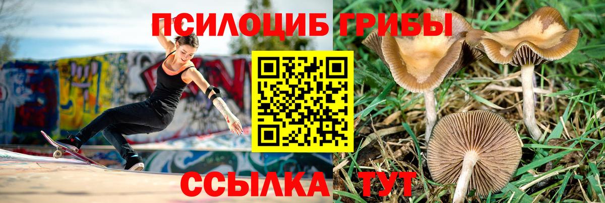 Асбест  Галлюциногенные грибы мицелий  Псилоцибиновые грибы Psilocybe  Вход с VPN 