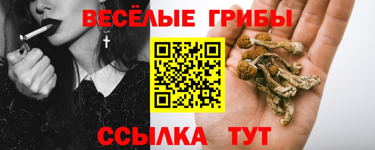 Псилоцибиновые грибы ЛСД  купить наркотик  Псилоцибиновые грибы MAGIC MUSHROOMS  Асбест 